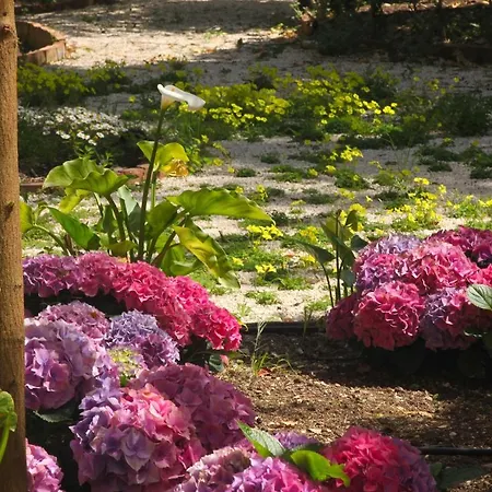 Guest house Versomare &